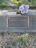 image of grave number 950281
